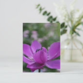 Sweet Anemone Briefkaart (Staand voorkant)