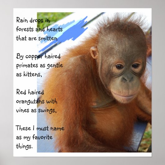 Sweet Animal Favorieten Poster (Voorkant)