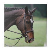 Sweet Arabian Horse Tile Tegeltje (Voorkant)