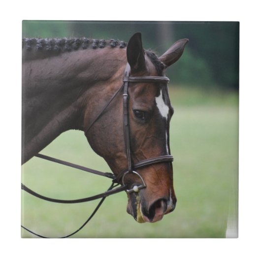 Sweet Arabian Horse Tile Tegeltje (Voorkant)