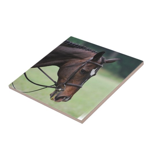 Sweet Arabian Horse Tile Tegeltje (Zijkant)