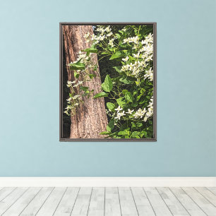 Sweet Autumn Clematis Floral Canvas Afdruk