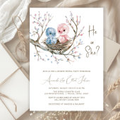 Sweet Baby Birds Geslacht onthullen partij Kaart