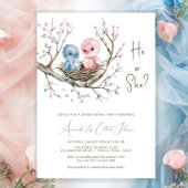 Sweet Baby Birds Geslacht onthullen partij Kaart