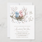 Sweet Baby Birds Geslacht onthullen partij Kaart (Voorkant)