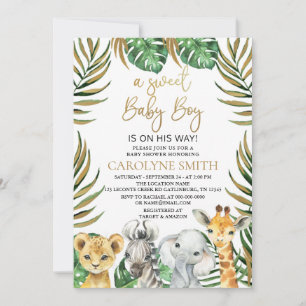 Sweet Baby Boy Safari Oerwoud Animals Baby shower Kaart