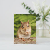 Sweet Baby Chipmunk Briefkaart (Staand voorkant)