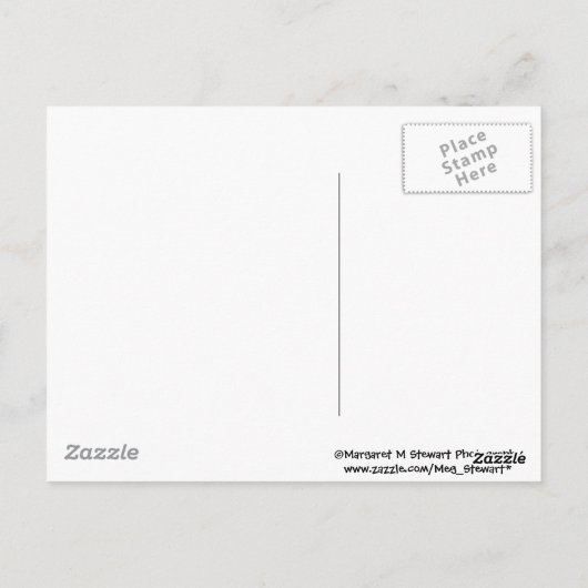 Sweet Baby Chipmunk Briefkaart (Achterkant)