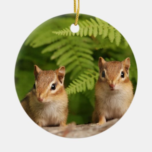 Sweet Baby Chipmunk Siblings Keramisch Ornament (Voorkant)
