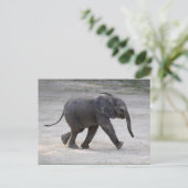 Sweet Baby Elephant Kibali Briefkaart (Staand voorkant)