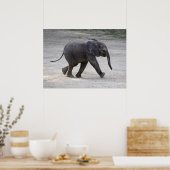 Sweet Baby Elephant Kibali Poster (Keuken)
