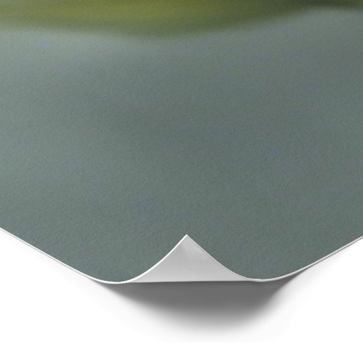 Sweet Baby Elf Poster (Hoek)