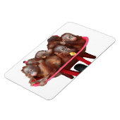 Sweet Baby Face Barrel van Apen Magneet (Linkerzijde)