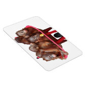 Sweet Baby Face Barrel van Apen Magneet (Rechterzijde)