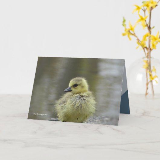 Sweet Baby Kaart (Gele Bloem)