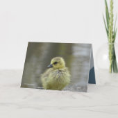 Sweet Baby Kaart (Voorkant)