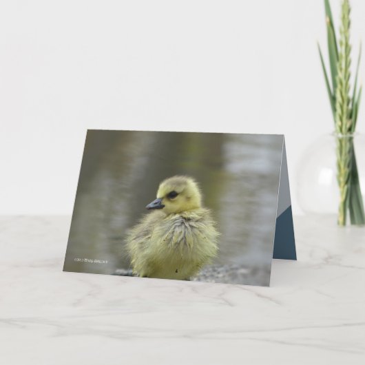 Sweet Baby Kaart (Voorkant)