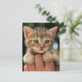 Sweet Baby Kitten Briefkaart (Staand voorkant)