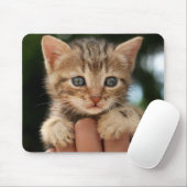 Sweet Baby Kitten Muismat (Met muis)