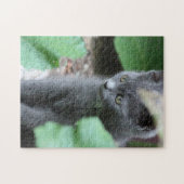 Sweet Baby Kitten Puzzle Legpuzzel (Horizontaal)