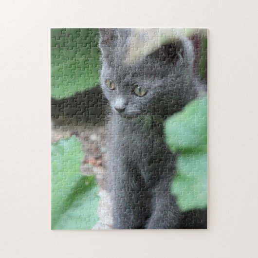 Sweet Baby Kitten Puzzle Legpuzzel (Verticaal)