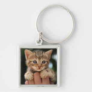 Sweet Baby Kitten Sleutelhanger