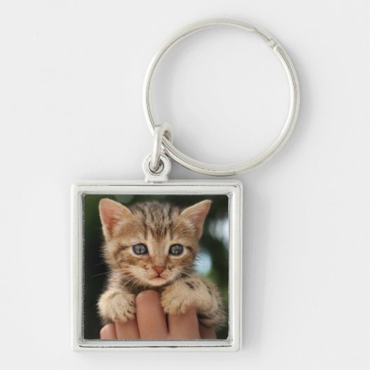 Sweet Baby Kitten Sleutelhanger (Voorkant)