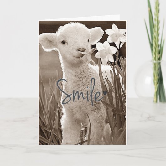 **SWEET BABY LAMB IS ZO GESCHIKT VOOR U** CONGRATS KAART (Voorkant)