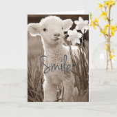 **SWEET BABY LAMB IS ZO GESCHIKT VOOR U** CONGRATS KAART (Gele Bloem)