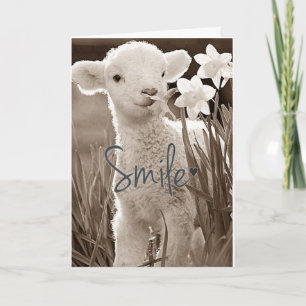 **SWEET BABY LAMB IS ZO GESCHIKT VOOR U** CONGRATS KAART