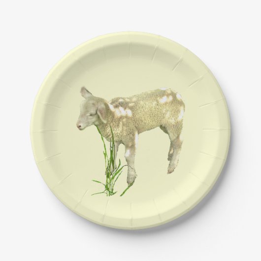 Sweet Baby Lamb op geel 7-inch Bord papier (Voorkant)
