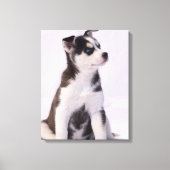 Sweet Baby Puppy Canvas Afdruk (Voorkant)