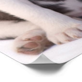 Sweet Baby Puppy Poster (Hoek)