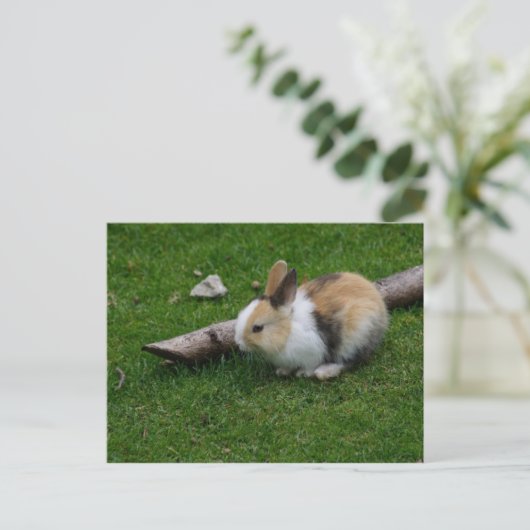 Sweet Baby Rabbit Briefkaart (Staand voorkant)