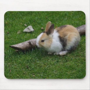 Sweet Baby Rabbit Muismat