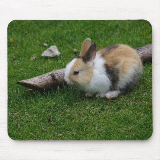 Sweet Baby Rabbit Muismat (Voorkant)
