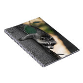 Sweet Baby Raccoon Notitieboek (Rechterzijde)