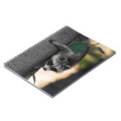 Sweet Baby Raccoon Notitieboek (Linkerzijde)