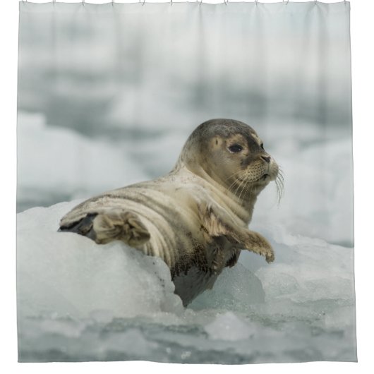 Sweet Baby Seal Douchegordijn (Voorkant)