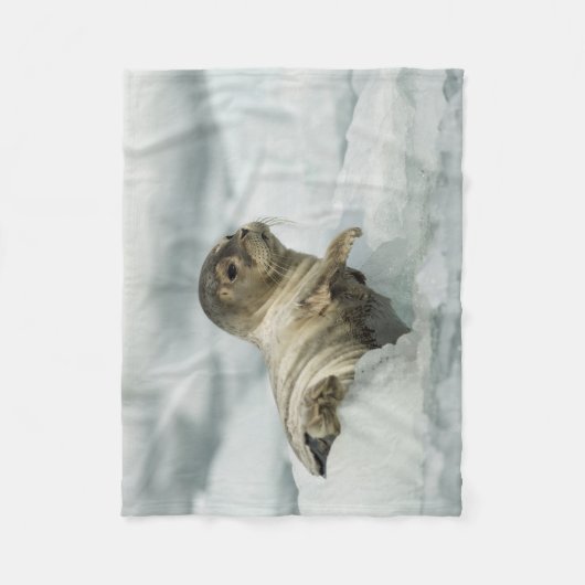 Sweet Baby Seal Fleece Deken (Voorkant)