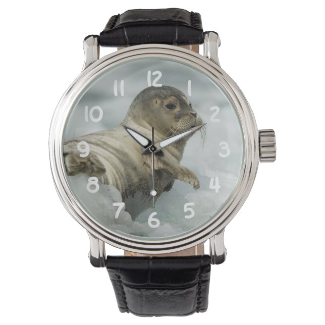 Sweet Baby Seal Horloge (Voorkant)