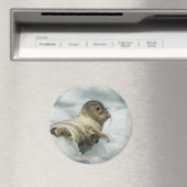 Sweet Baby Seal Magneet (Insitu (Vaatwasser))