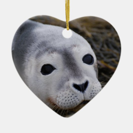 Sweet Baby Seal Ornament (Voorkant)