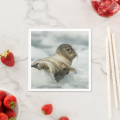 Sweet Baby Seal Servet (Insitu)