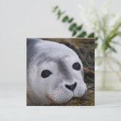 Sweet-Baby-zegeluitvindingen Kaart (Staand voorkant)