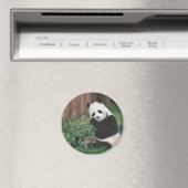 Sweet Bamboo Panda Beer magneet (Insitu (Vaatwasser))