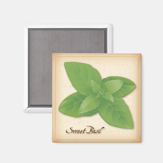 Sweet Basil Herb Magneet (Voorkant / Achterkant)