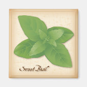Sweet Basil Herb Magneet (Voorkant)