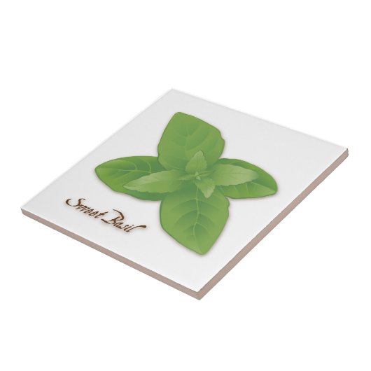 Sweet Basil Herb Tegel Tegeltje (Zijkant)