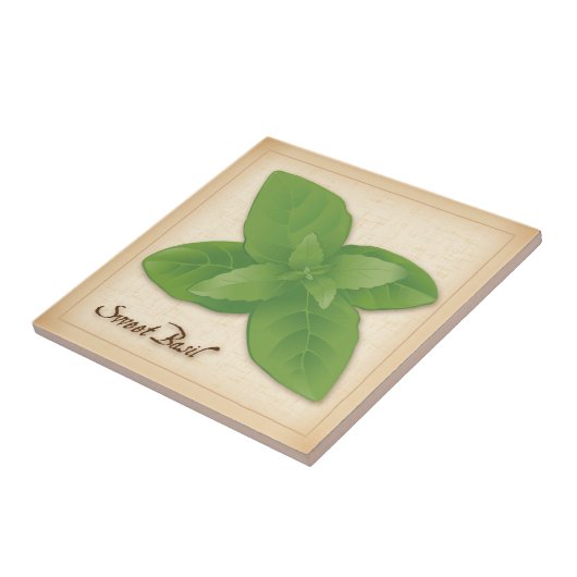Sweet Basil Herb Tegeltje (Zijkant)